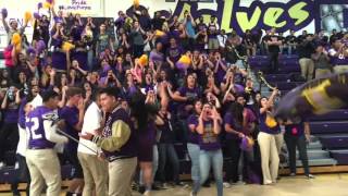 WOLFPACK NEWS#10