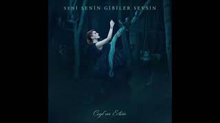 Zehir - Ceylan Ertem Resimi