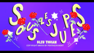 Bleu Toucan - Sous les jupes (Clip Officiel)