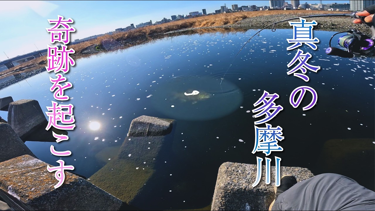 【バス釣り】真冬の多摩川で、奇跡を起こす