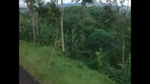 ngabuburit,,,majalengka.