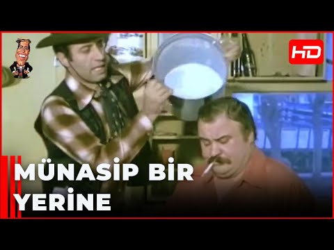 Umudumuz Şaban - Ringo Bu Ne Bok Yiyeceği Belli Olmaz! | Kemal Sunal En Komik Sahne ve Replikleri 😂