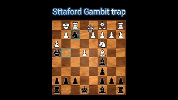stafford Gambit trap must now🔥🔥