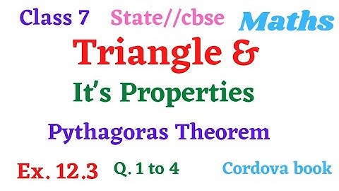 class  7 Maths Chapter 12 The Triangle And It