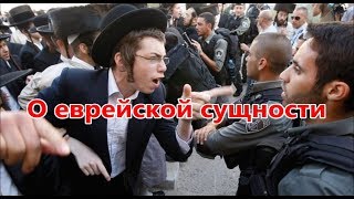 О еврейской сути. Раввин Ашер Кушнир О еврейской сути. Раввин Ашер Кушнир