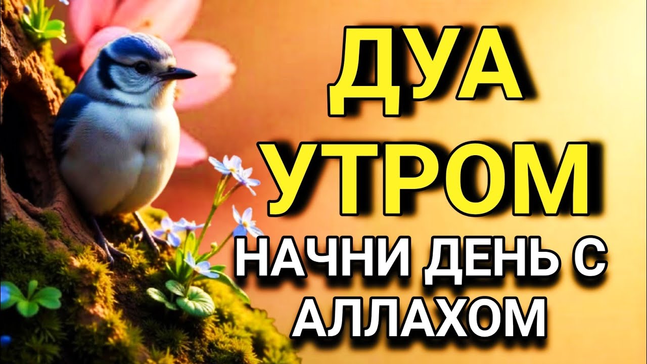 🌟 ДУА УТРОМ — НАЧНИ ДЕНЬ С АЛЛАХОМ 🔑🤲✨💯