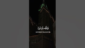 "انك ميتٌ وانهم ميتون"اكتب شيء تؤجر عليه #قرآن #اكسبلور #تلاوة_خاشعة #تلاوة_هادئة #ماهر_المعيقلي