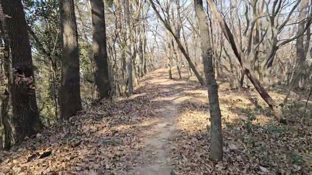 몸과 마음 정화