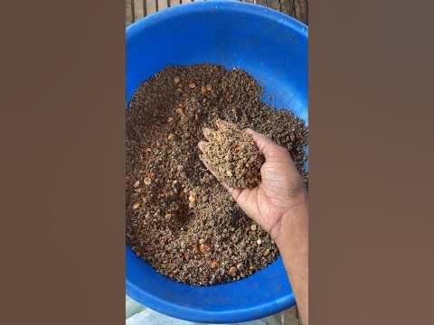 Day 99: All Feeding Habits Is Not Same, Follow Simple Steps To Avoid