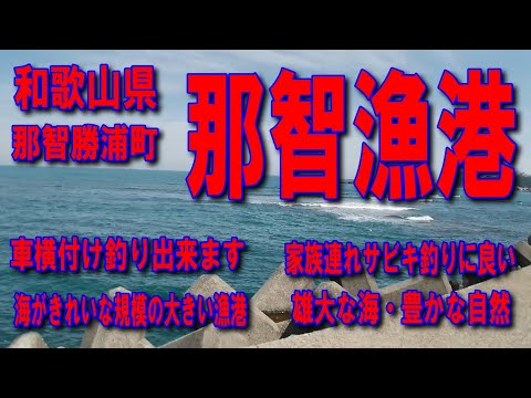 #22和歌山県那智漁港海がきれいな規模の大きい漁港波止が低いのでファミリー家族サビキ釣りに良し車横付け釣り出来ます雄大な海豊かな自然先端で車横付け釣り人がいます駐車場が広いです釣り場ポイント案内