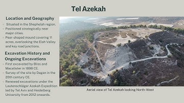 SA Talk with an Expert: An Introduction to and Application of Zooarchaeology with Petunia Fernandes