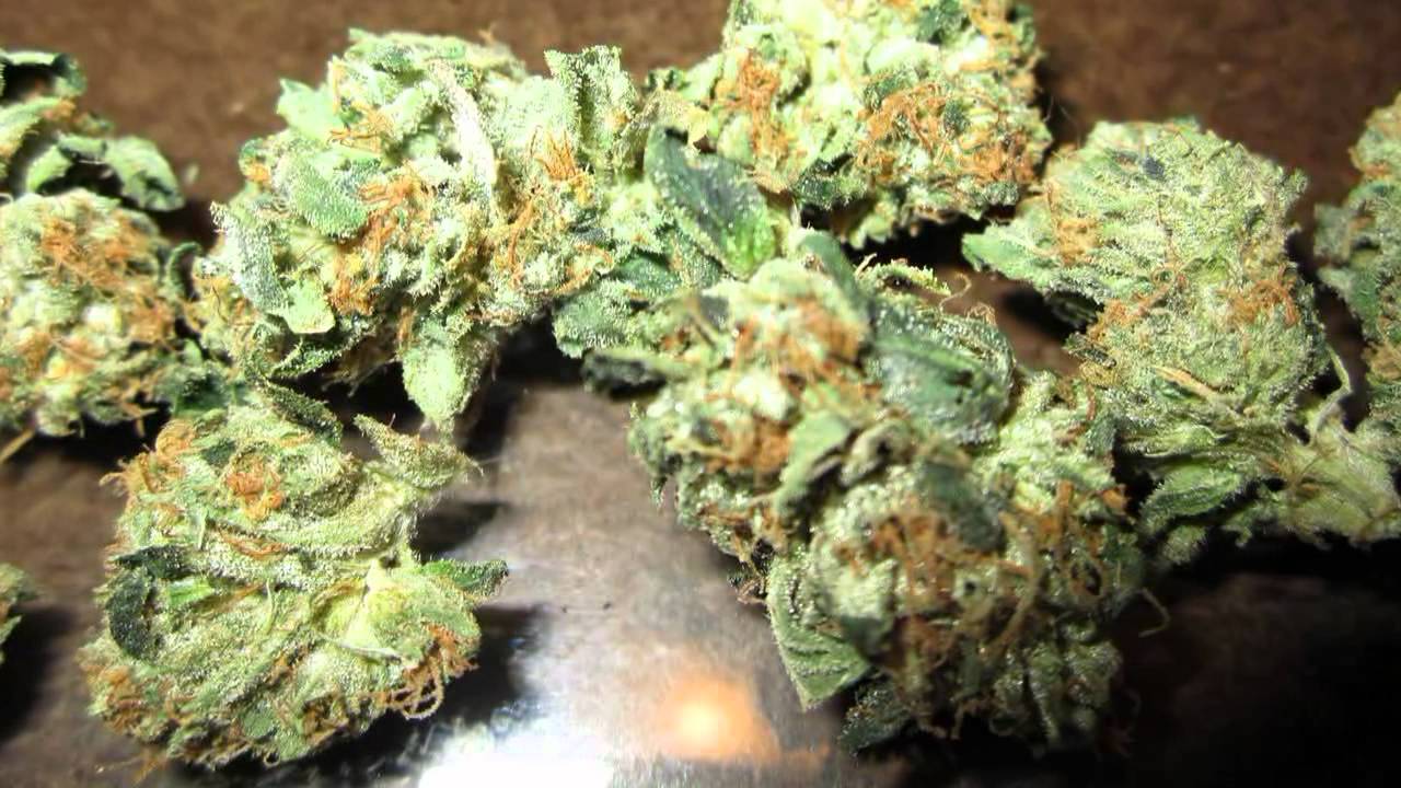 The Higher Channel Banana Kush Gold Star Organic Blunt Review TheHigherChannel