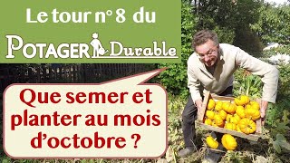 Que semer et planter au mois d'octobre au potager ?