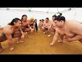 Sumo Wrestler VS Pro Wrestler!! Who Will Win!? 【Sumo Documentary】#相撲#sumo #DRAGONGATE