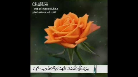 سورة الفاتحة