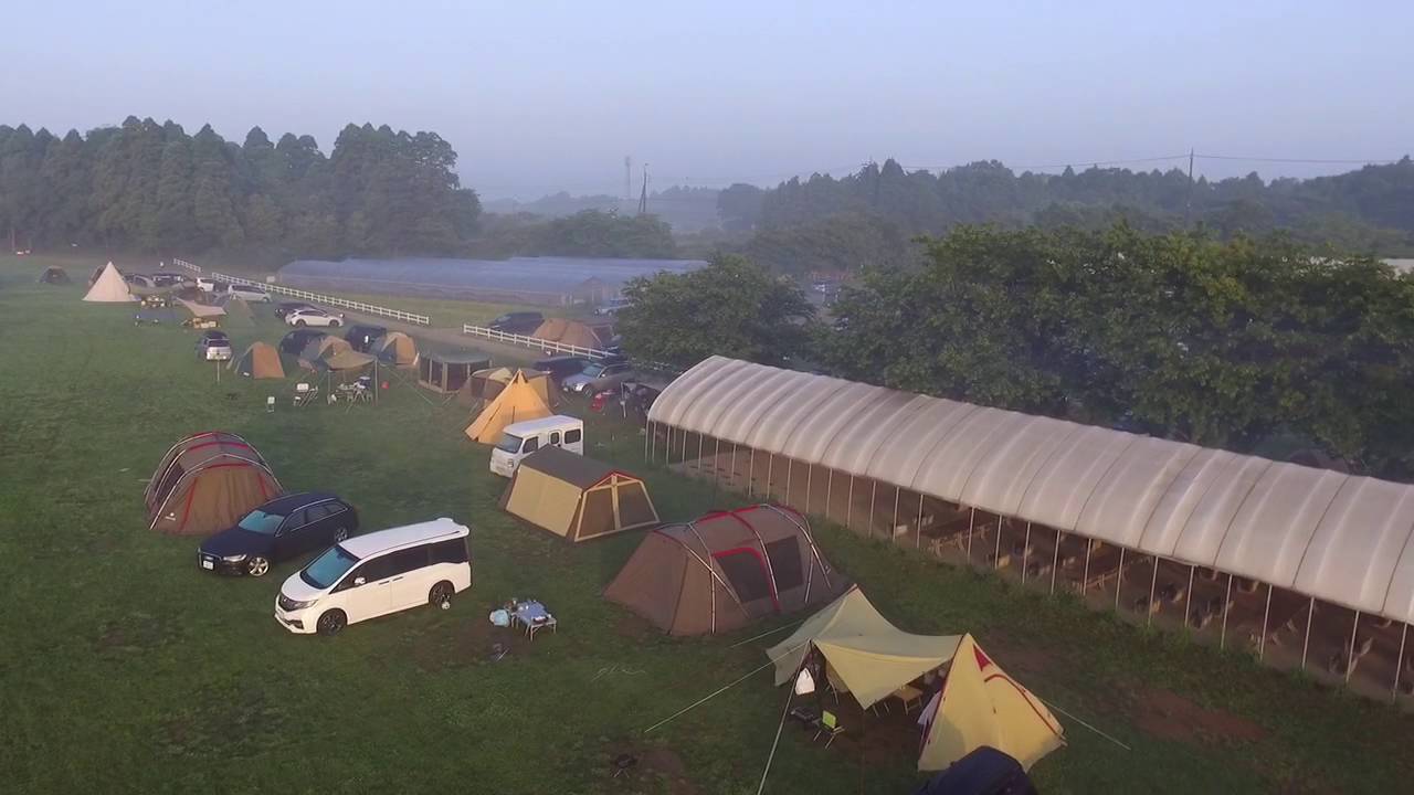 成田 ゆめ牧場 オートキャンプ場 空撮 朝靄 Youtube