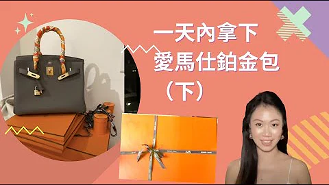 【HANDBAG INVESTMENT】第105个排队？（下）开箱铂金包 / 我的投资理念 How I Score Hermes Birkin In A Day Part 2 - 天天要闻