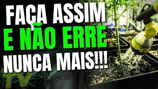 Descubra O Segredo Para Regar Com A Frequência CERTA!