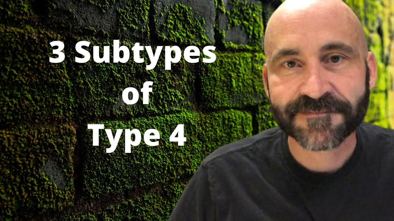 Enneagram: Subtypes of Type 4