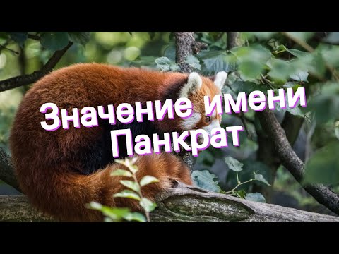 Значение имени Панкрат. Толкование, судьба, характер