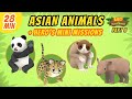 Asian Animals (Part 3/7) - Junior Rangers and Hero's Animals Adventure | Leo the Wildlife Ranger