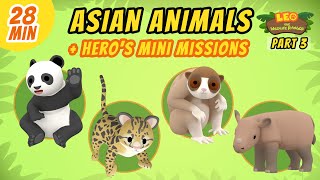 Asian Animals (Part 3/7) - Junior Rangers and Hero's Animals Adventure | Leo the Wildlife Ranger