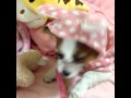 Flipagram - 7月 04, 2014
