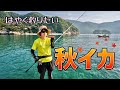 秋のエギング開幕戦！解説中にイカさん釣れちゃった♩