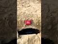 Jbl blutooth speaker drop on tunnel for water testing