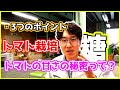 【解説】トマトの甘さを最大限に引き出すには？－トマト栽培の仕方－