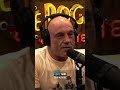 Is the Judge Supporting Him? #joerogan