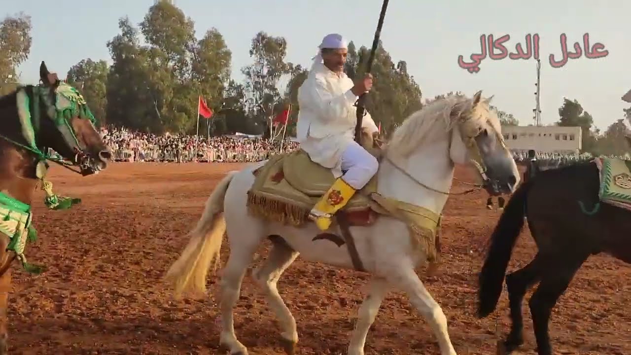 انطلاق طلقات البارود من موسم سيدي مسعود بن حسين حد أولاد أفرج