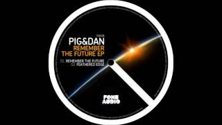 Pig & Dan - Remember The Future (Original Mix)