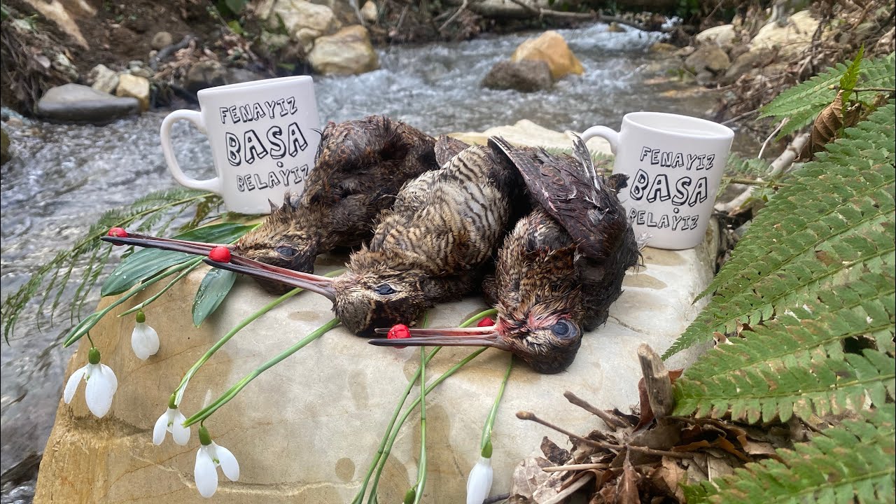 2023 DÜZCE ÇULLUK AVI #woodcock #çulluk #beccaccia #μπεκάτσα #hunting ...