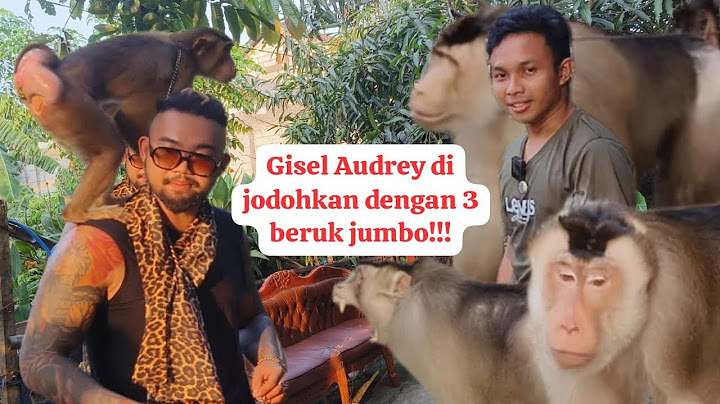 Gisel's Macaque Looking for a Mate in the Primate Cage in Bekasi!!! Bastian Can't Stand It🤣