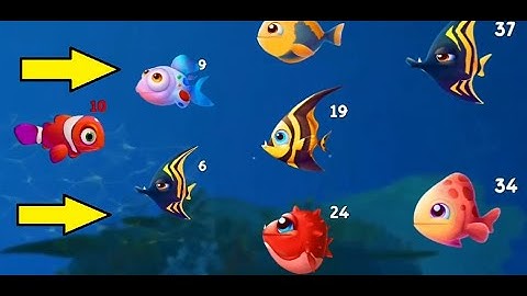 Fishdom Mini Games Ads Part 12 - Help The Fish Collection Trailer Video