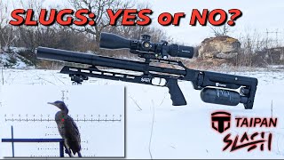 Shooting Slugs Out Of The Taipan Slash 420 Mm Barrel