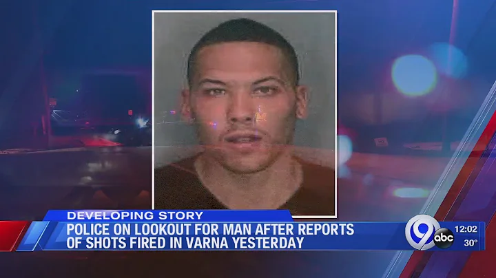 Police looking for man after shots fired in Dryden