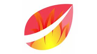 Bitfinex Executive Phil Potter Absolutely Panics When Asked Who Is In Charge Of Bitfinex.