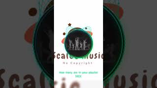 How Many Are In Your Playlist