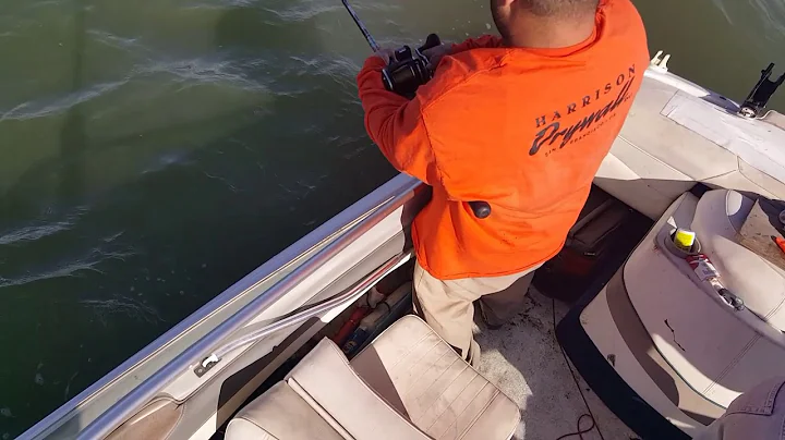 Big lip Beast (oversize sturgeon) catch and release