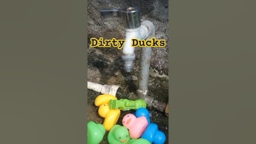 Watch These Dirty Ducks Get Squeaky Clean! 🛁🦆"#duckyworldtv #duckgang #funny #toys #shorts #ytshort