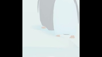 Penguin Isle Gameplay #1