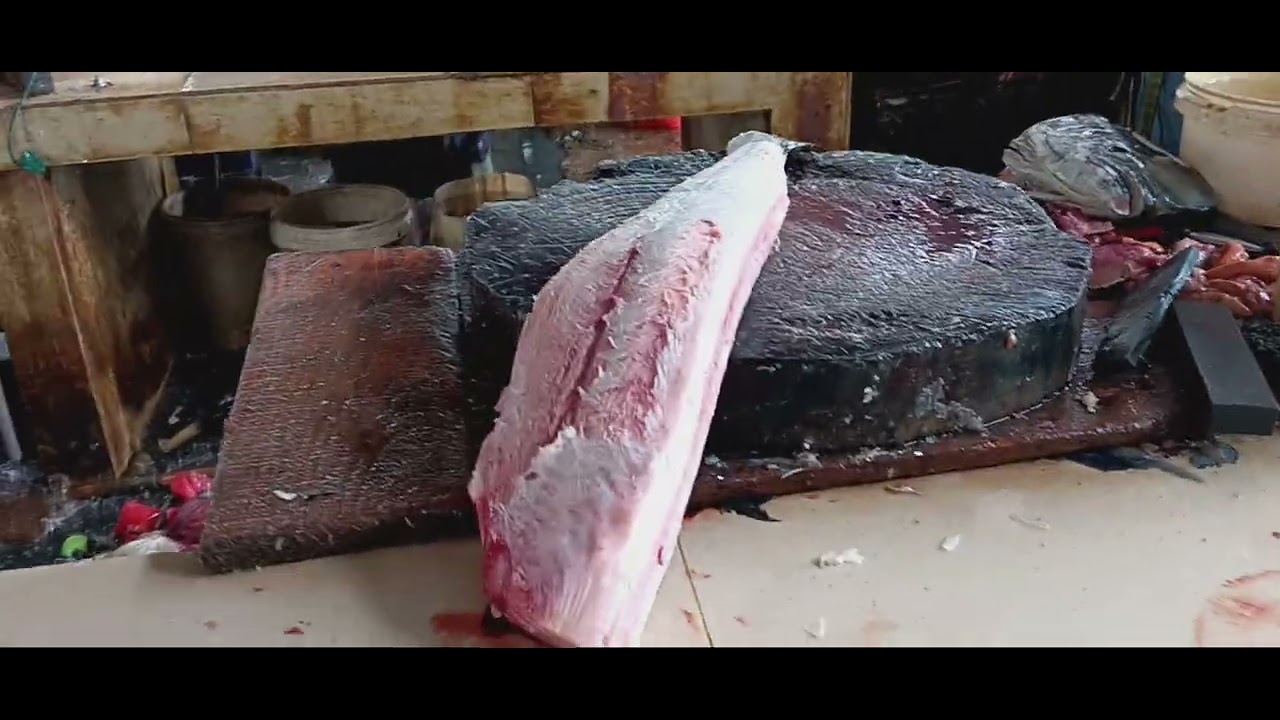 bletong super bosku..