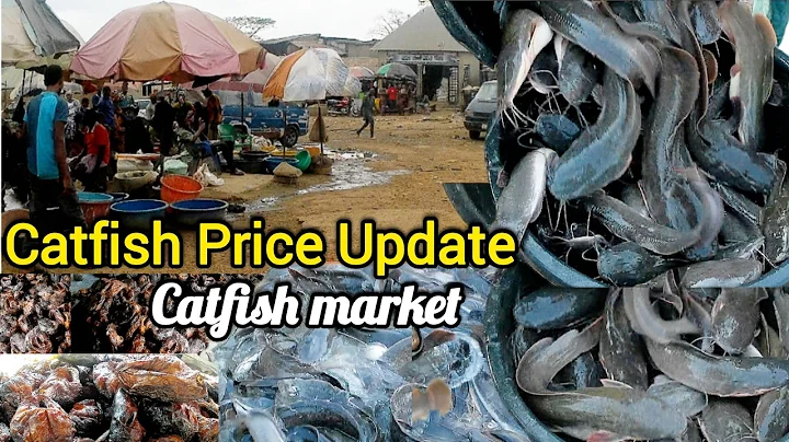 Vlogmas Day 16: Nigeria Catfish Market Today | Fresh & Smoked Fish Prices | #catfish