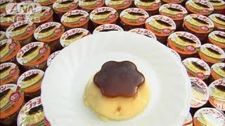 世界一売れてる！「プッチンプリン」がギネス認定（13/01/11）