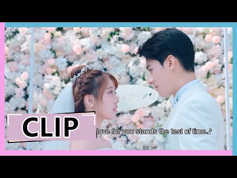 【致我们甜甜的小美满-the-love-equations】番外(中)-clip-圆满大结局,两人结婚啦