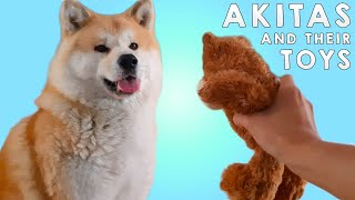 AKITA INU - Do Japanese Akitas Like To Play With Toys? | Yuki And His Favorite Toys | 秋田犬 by Akita Yuki 16,097 views 3 years ago 12 minutes, 22 seconds