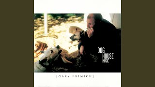 Video thumbnail of "Gary Primich - Mr. Lucky"