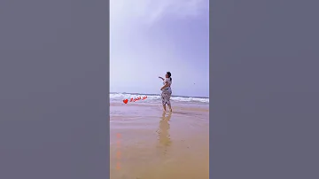اغاني الكرسيفي 